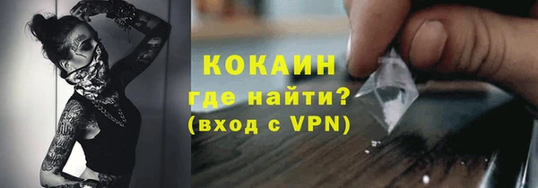 PSILOCYBIN Богородицк