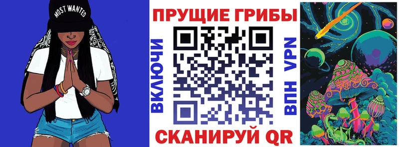Псилоцибиновые грибы Cubensis  сколько стоит  Симферополь 